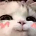 emoji_20