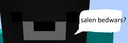 SalenBedwars