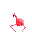 flamingo_dance Discord emoji