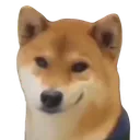 smugrat