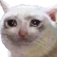 NotCrying NotCrying