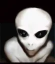 aleen aleen