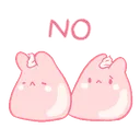 8448rabbitno