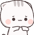 kittyShy