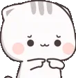 kittyShy kittyShy
