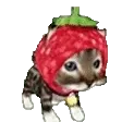 strawbCat