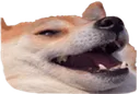 hehe