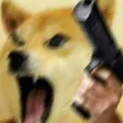 gundoge