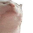 Cat_jam