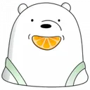 icebearorange