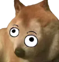 Derpis