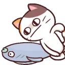 fight