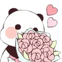 panda_rose