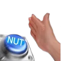 nutbutton