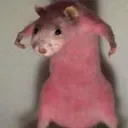 hi hi