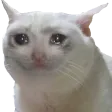 Sad