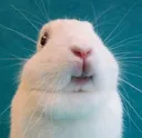 Uc_wowie