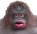 monke