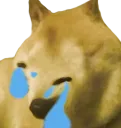 BoopisCryingForHelp