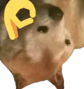 Gottemis