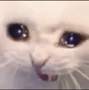 Cat Pain Discord Emoji