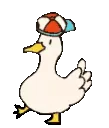 HatDuckDance