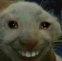xd