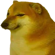 UN_Dog UN_Dog