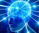 bigbrain2