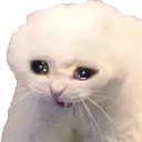 ZenixEmote