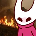 HornetAnarchy