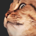 i_OPW_whaaat Discord emoji