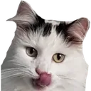 RosieHunger