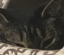 ISeeYou