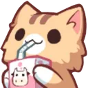 cat_drink