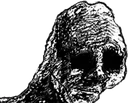 hollow