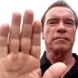 arnoldHalt