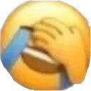 bugginfr2