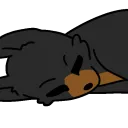 asleep asleep