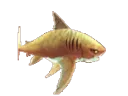 tigerspinnn