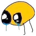 cRy