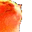 DiscoVibeCat DiscoVibeCat
