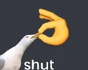 Shut Shut
