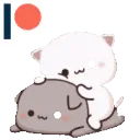 swiftasha