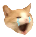montysad