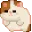 cat_wtf