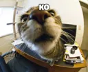 ko
