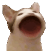 parlanchin