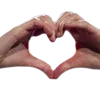 tayhandhearts
