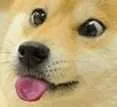 doge_TONGUE Discord Emoji